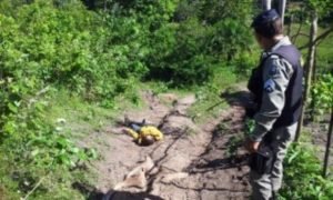 3afe54e7a120141101084802