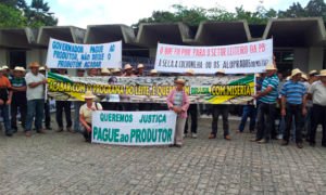 Programa-do-leite-PB