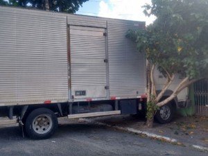 caminao_casa_palmeira_2