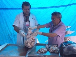 carne_tonelada_irregular_frigorifico