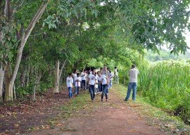 jardim-botanico-benjamin-maranhao