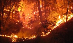 incendio_SAPO3