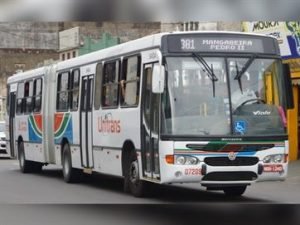 onibus-mangabeira